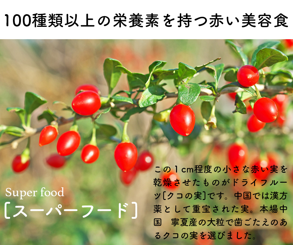 ゴジベリー クコの実 無添加 ナッツ専門店ハッピーナッツカンパニーhappy Nuts Company